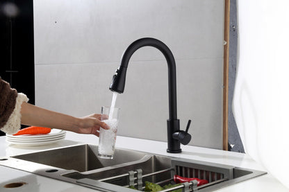 Robinet de cuisine Nurion noir mat avec bec