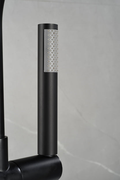 Mélangeur bain sur pied - avec douchette - noir mat