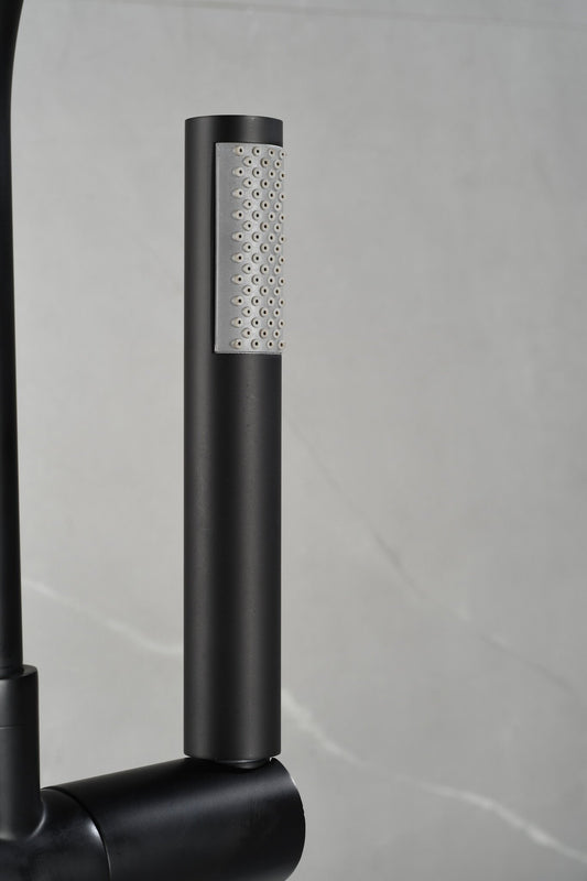 Mélangeur bain sur pied - avec douchette - noir mat